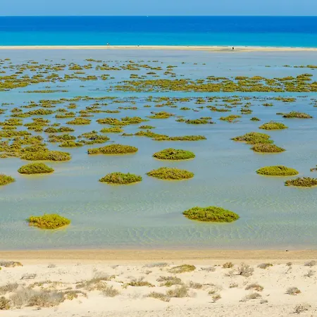 Lenni * 코스타카르마